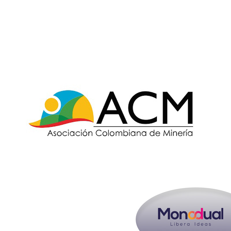 Web developer for ACM