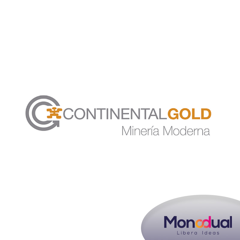 Web developer for Continental Gold mining company